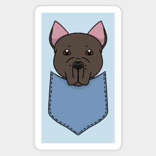 Cute Dog in a Pocket Sticker